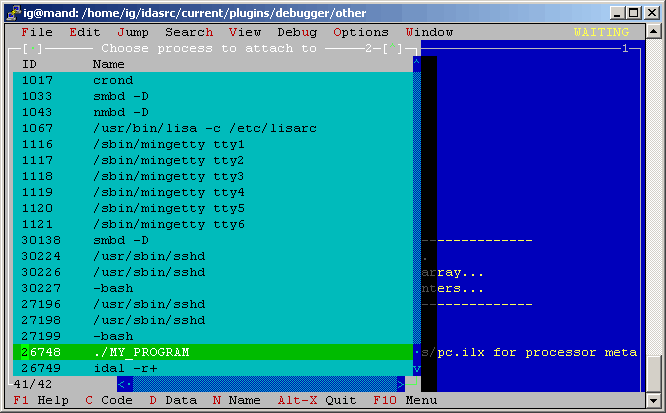 select_local_process