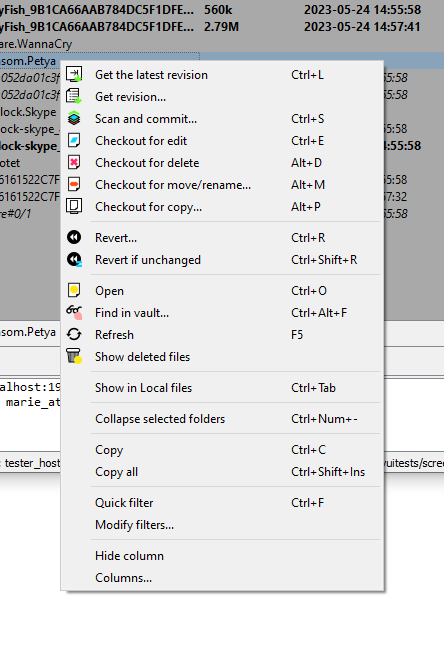 A typical context menu for “Vault files”