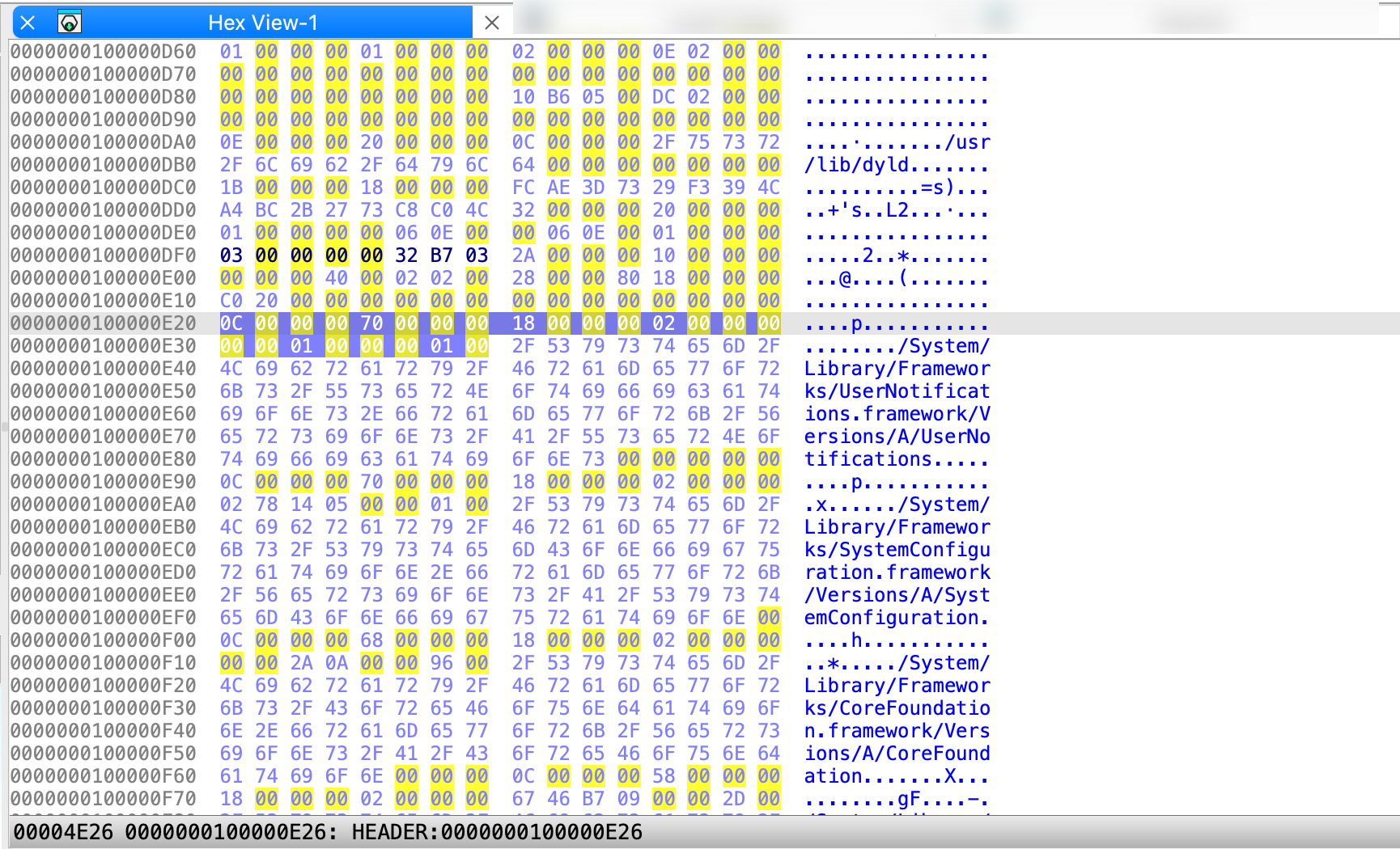 Hex dump view