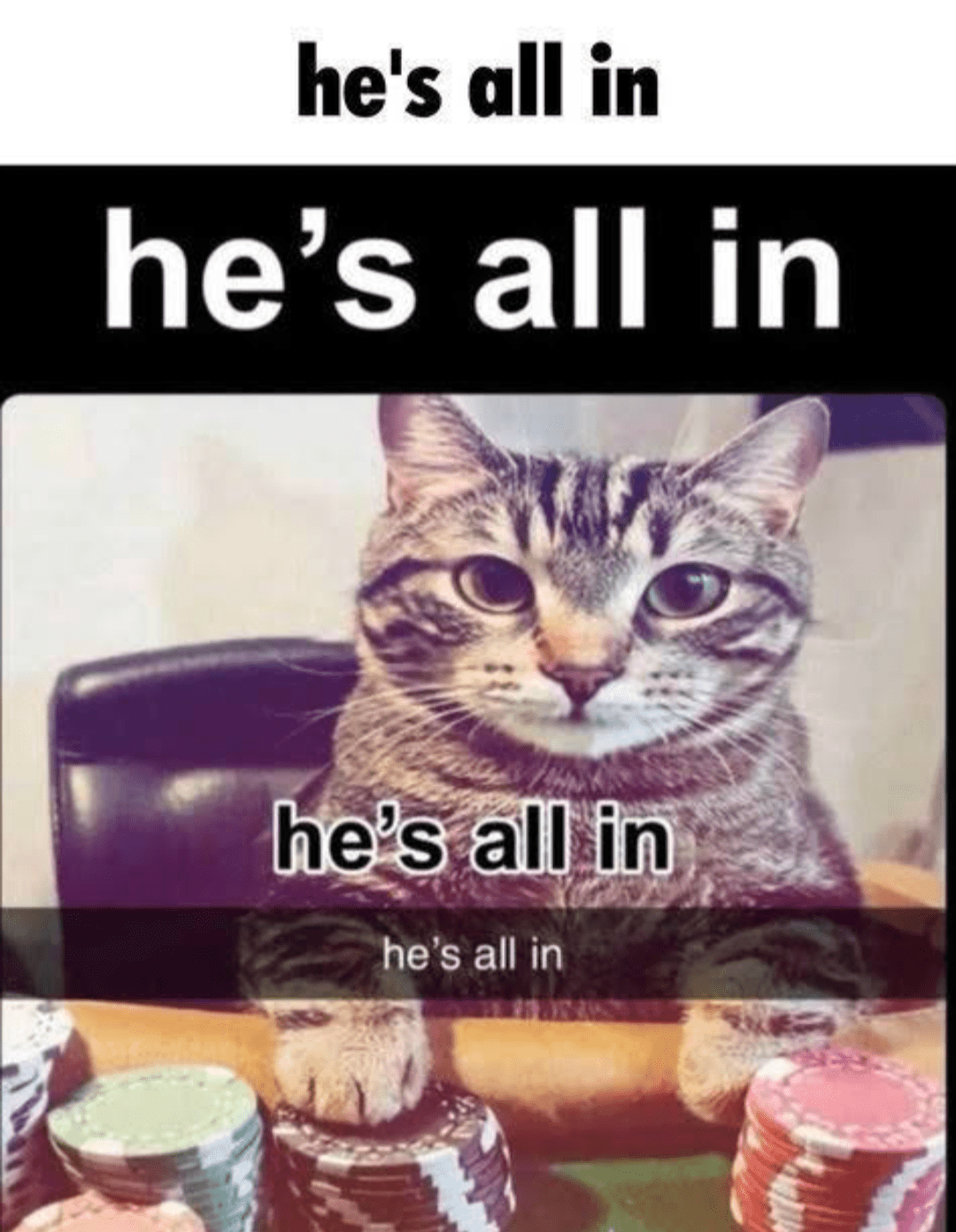 all_in.gif