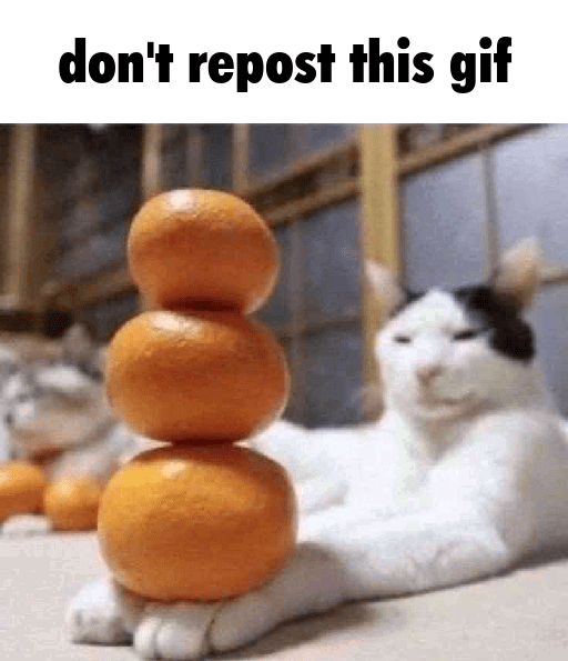 dont_repost.gif