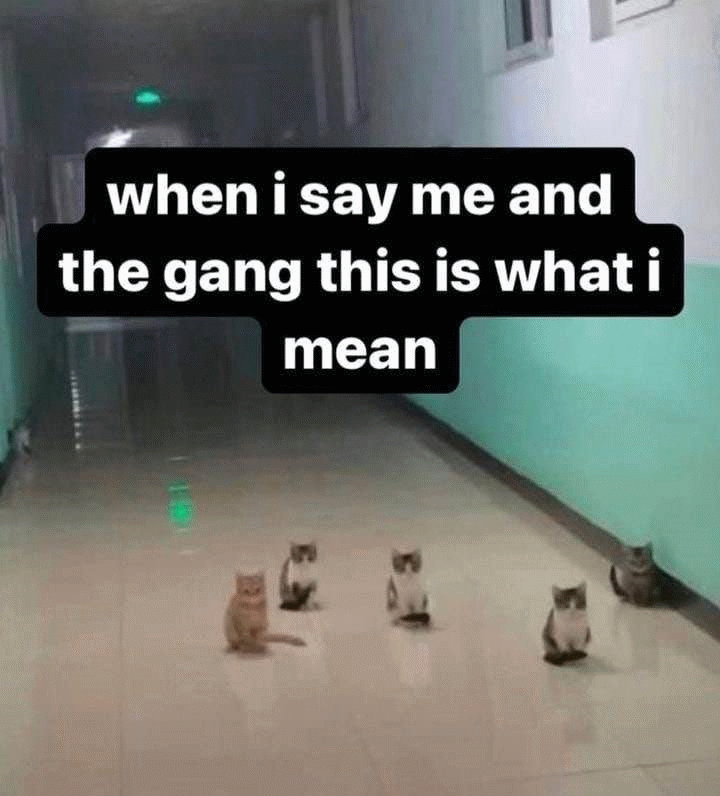 gang.gif