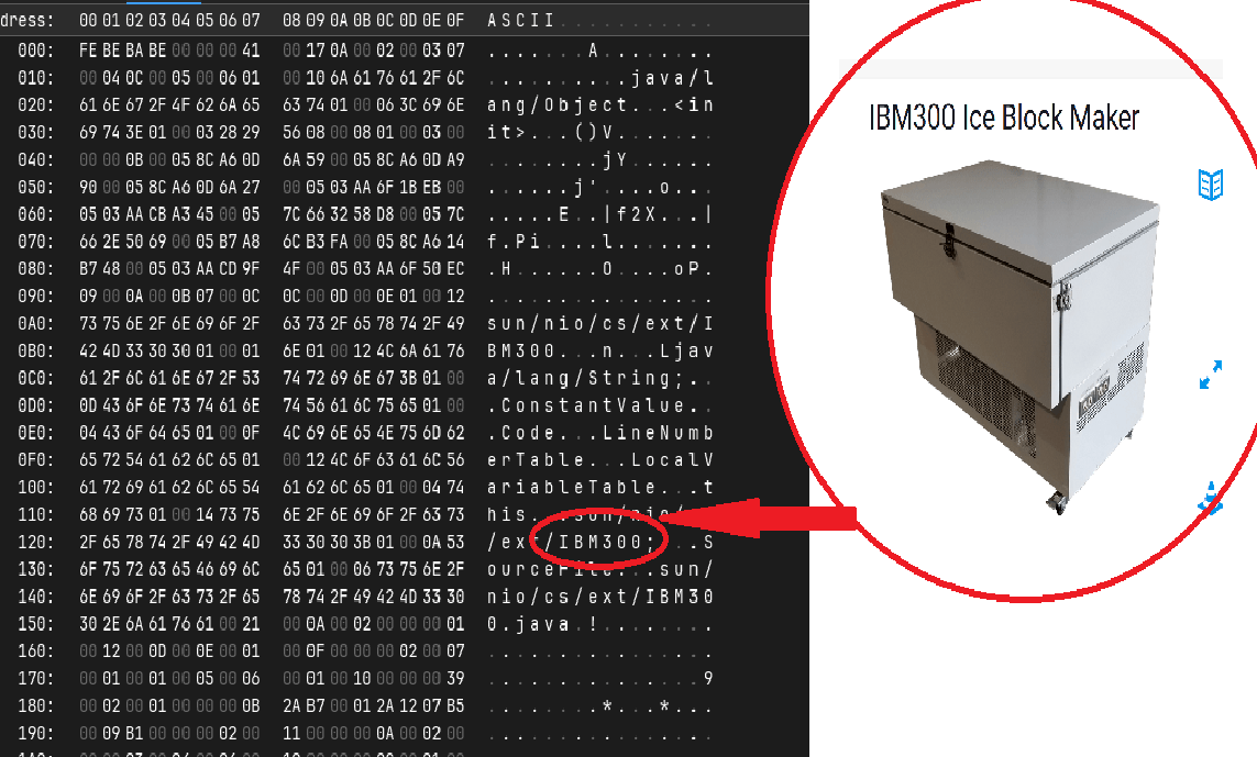 ibm300.gif