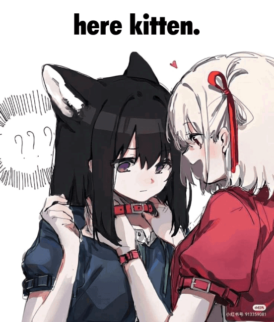 kitten.gif