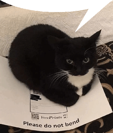 maxwell.gif