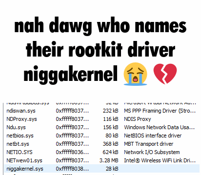 niggakernel.gif