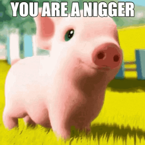 nigger.gif