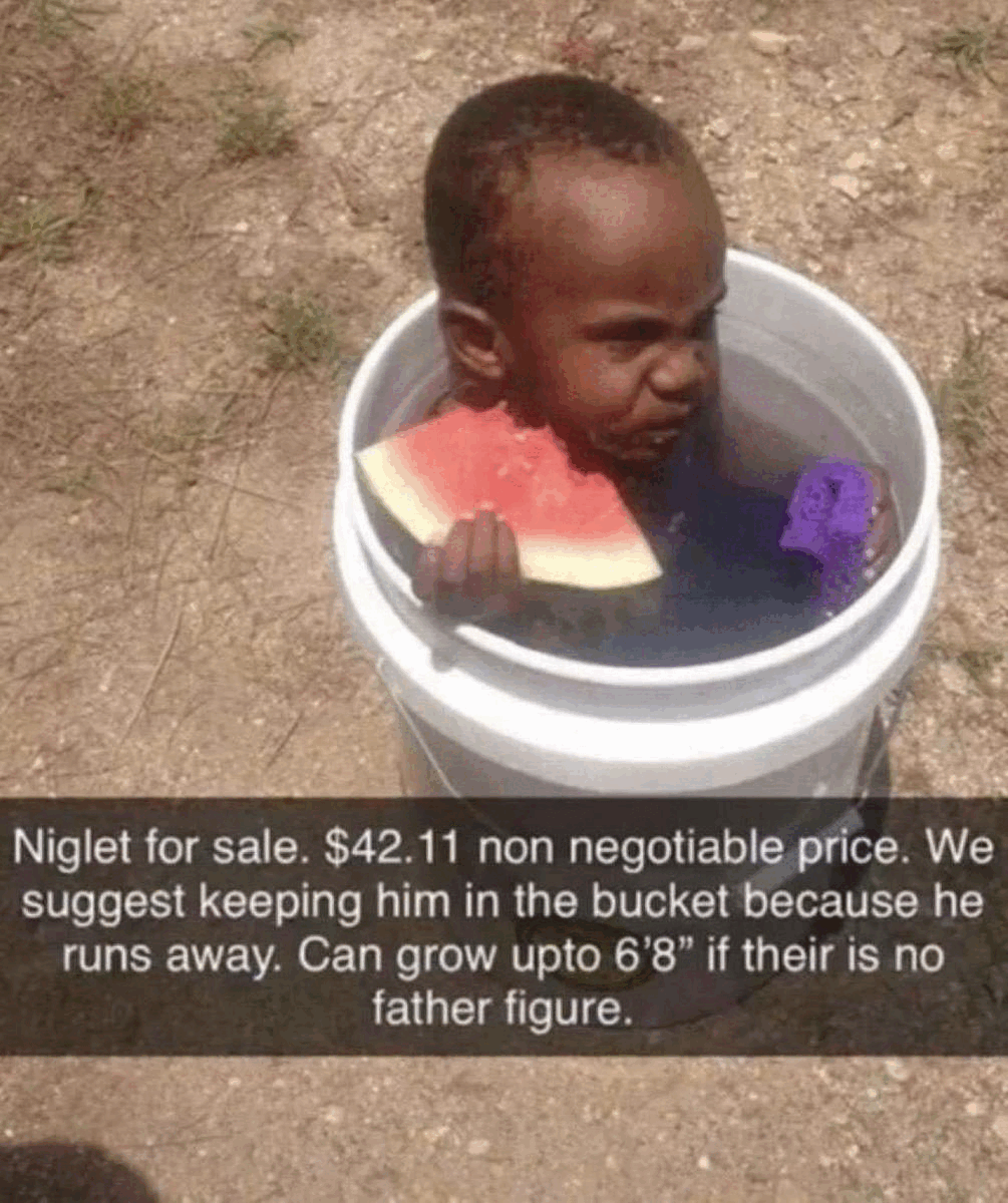 niglet.gif