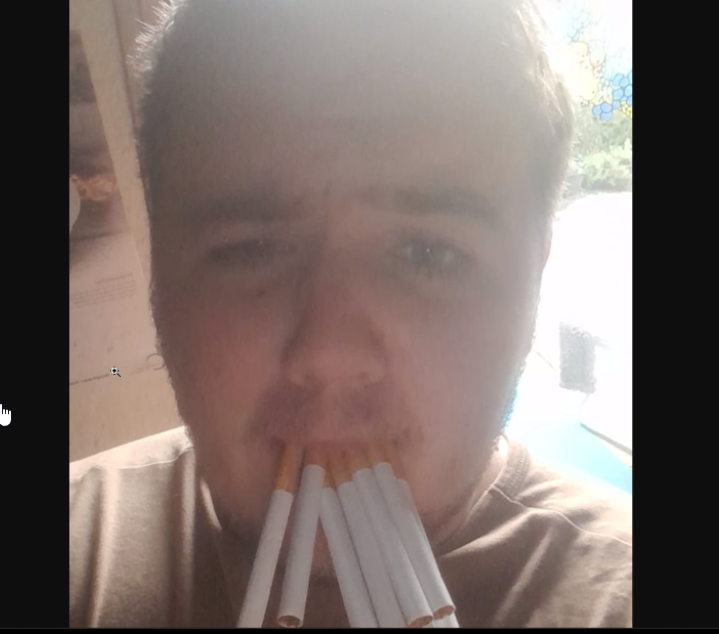 niko_baumbach2.gif