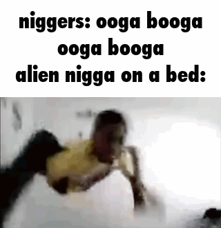 ooga_booga.gif