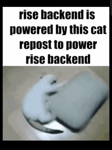risebackend.gif