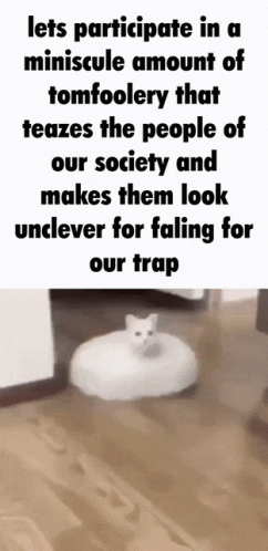 tomfoolery.gif