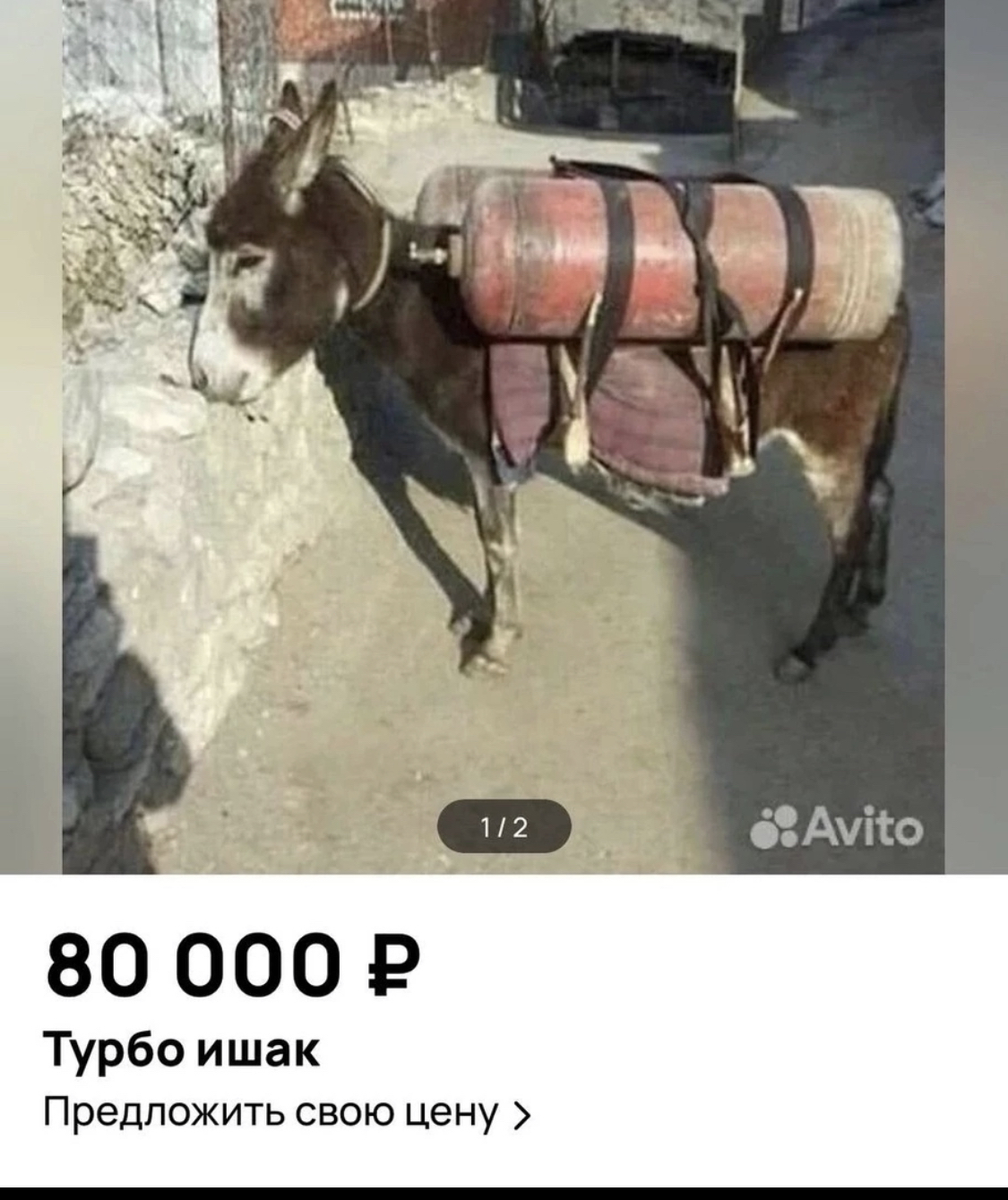 turbo_donkey.gif