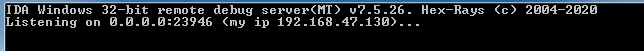 starting the server