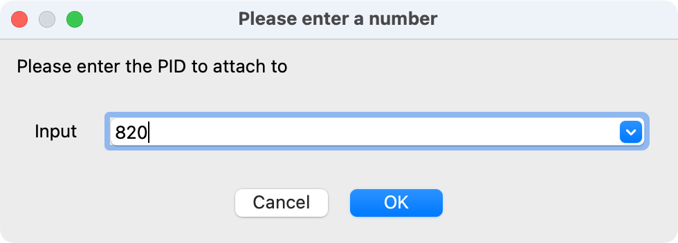 IDA dialog asking for a PID input