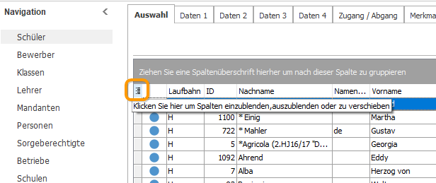 Öffnen Sie über das Listensymbol die Organisationsansicht