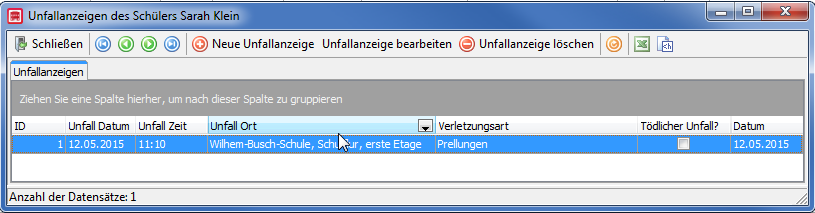 Fenster "Unfallanzeige"