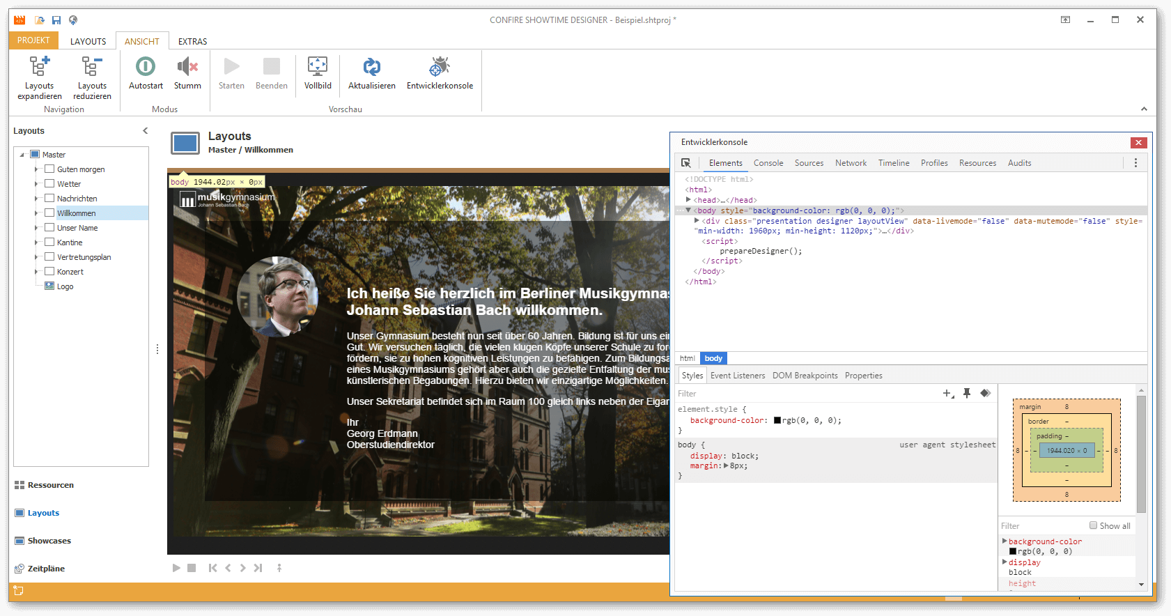 Screenshot: Development tools